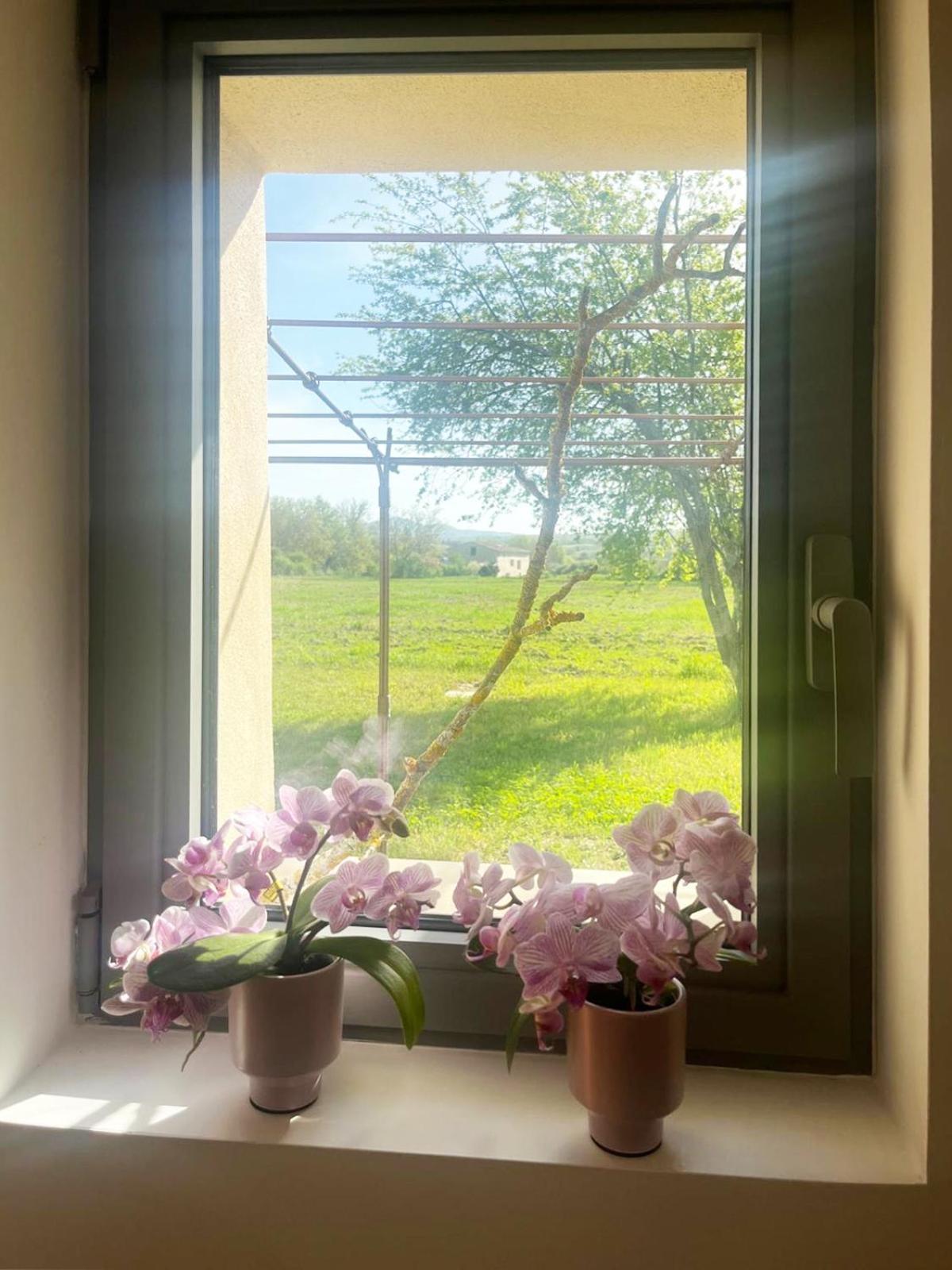 Le Petit Cabanon Provencal Βίλα Mane  Εξωτερικό φωτογραφία